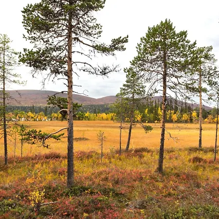 Taiga By Interhome Semesterbostad Ylikyro