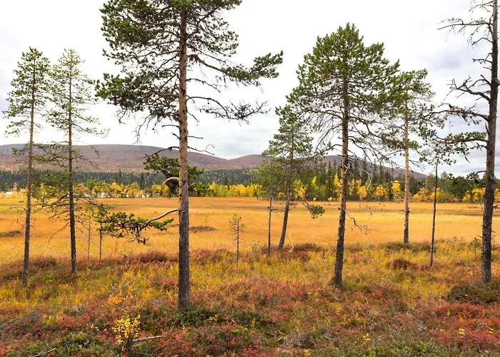 Taiga By Interhome Loma-asunnot Ylikyro